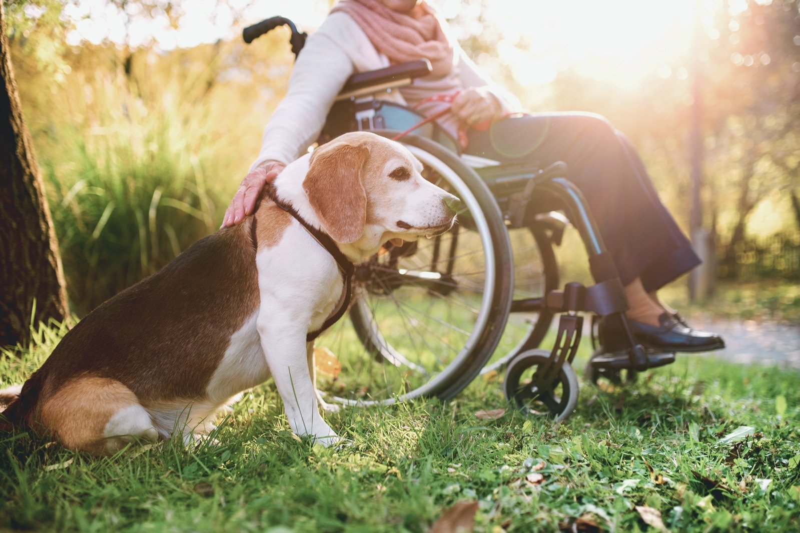 In-home assistance with activities of daily living to support independence